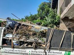 Demolition Debris Removal in Renville, MN