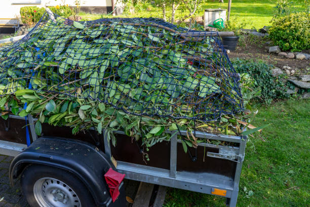 Best Yard Waste Removal  in Renville, MN